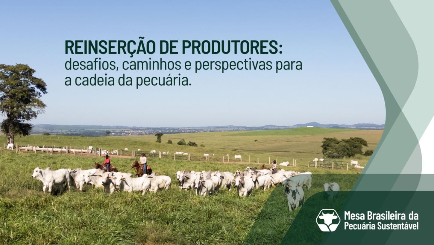 Mesa Brasileira da Pecuária Sustentável reúne representantes do setor em vídeo sobre reinserção de produtores