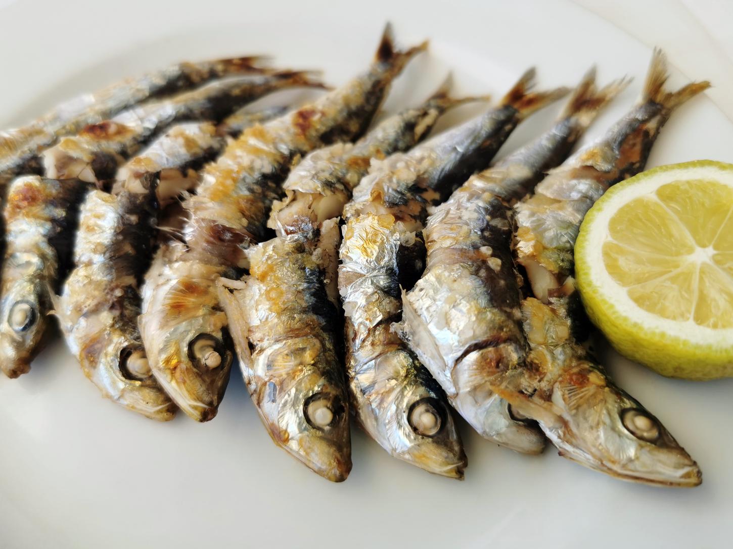 Por que especialistas consideram pescados em conserva um superalimento?