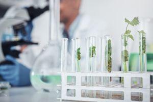 Biodiversidade e pesquisa podem colocar Brasil na liderança global dos bioinsumos 