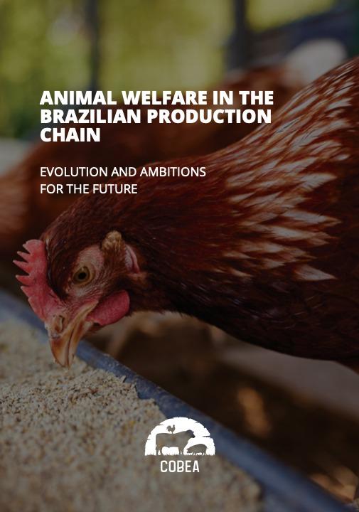 COBEA leva avanços do bem-estar animal brasileiro ao cenário internacional durante o SIAVS