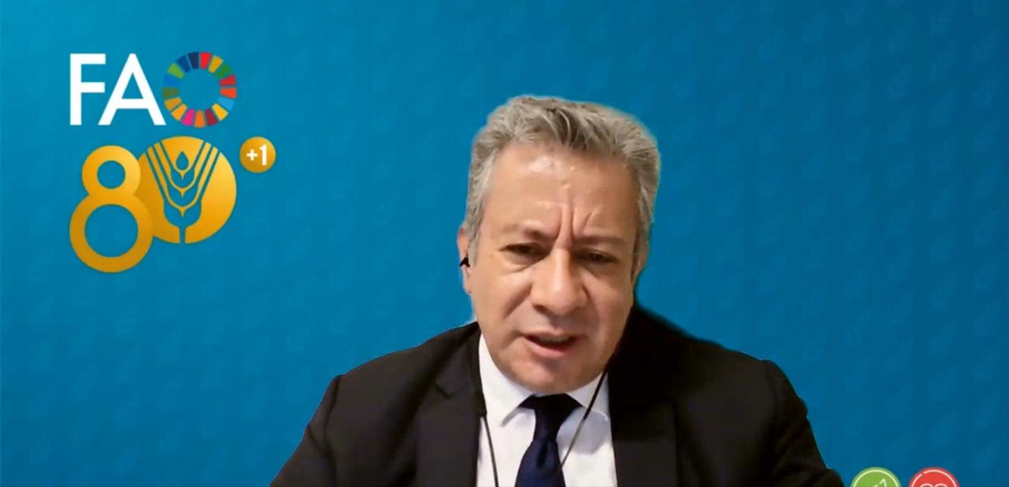 Representante da FAO vê Brasil apto a liderar indicador global de sustentabilidade