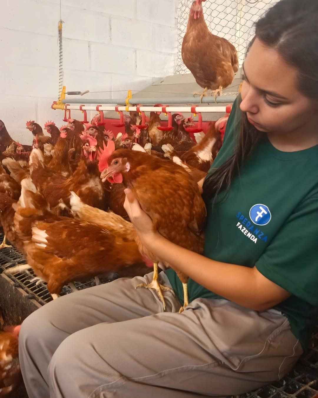 Bem-estar animal e valorização da equipe alavancam excelência na Fazenda Speranza