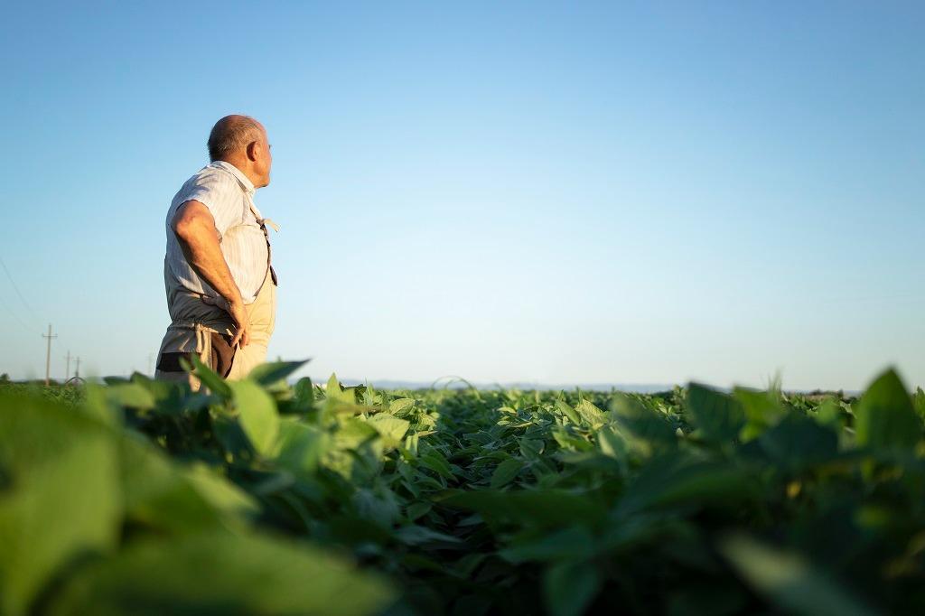 CPR vencida significa perder a propriedade rural? Advogada explica o que acontece quando a terra é dada em garantia