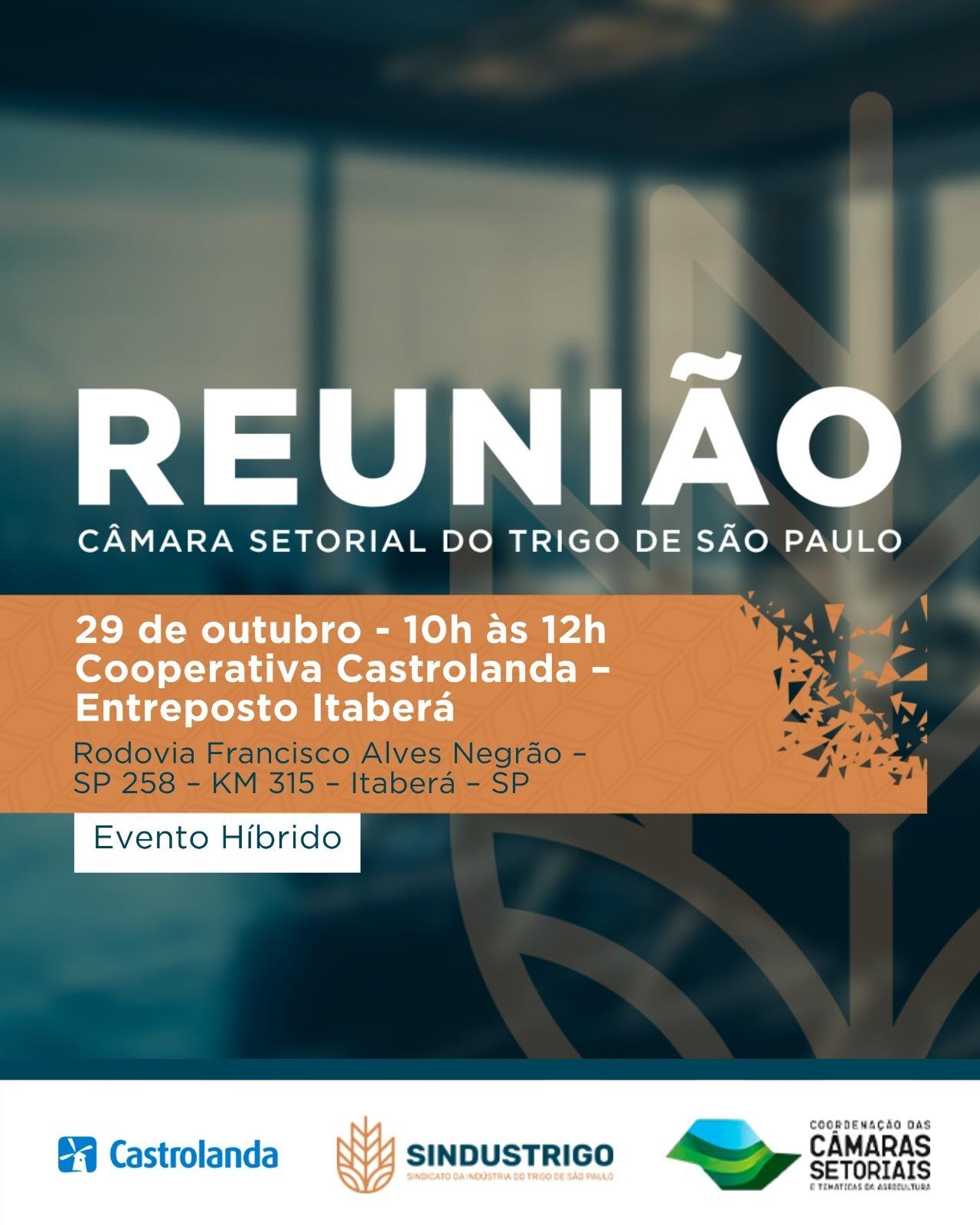 Câmara Setorial do Trigo de São Paulo discutirá expectativas para o encerramento da safra 2026/27